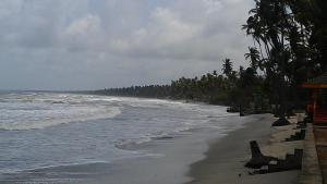 3529_10151366040714422_506576816_n